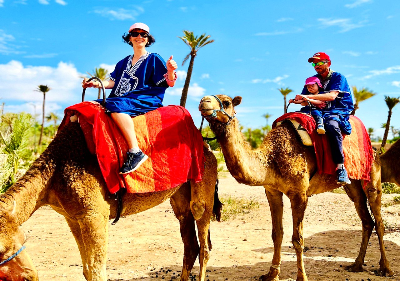 Two travellers riding camels in the Marrakech Palmeraie