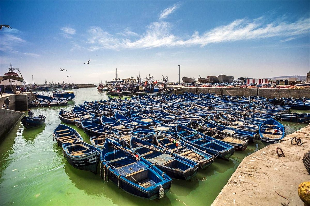 Rijen blauwe vissersboten in de haven van Essaouira
