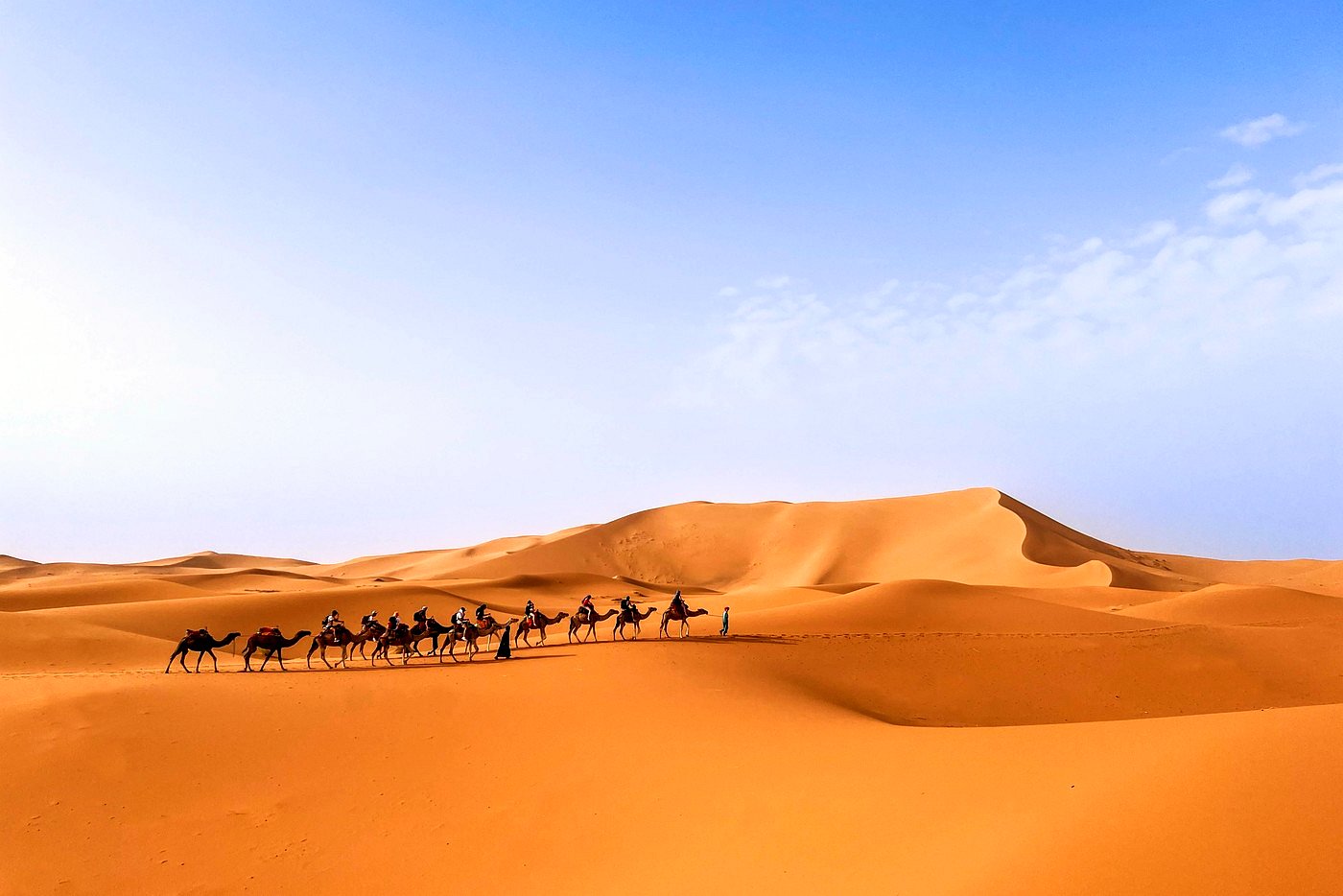 Cammelli sulle dune dell&rsquo;Erg Chebbi vicino a Merzouga