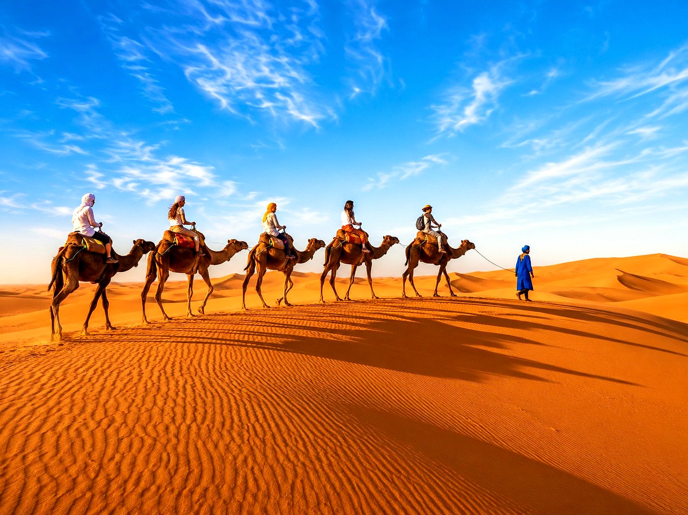 Camel caravan heading to a desert camp in the Sahara