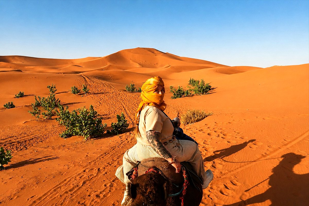 Ruiter op een kameel in de duinen van de Sahara